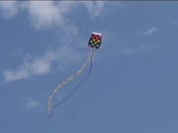 Exploring Energy: Investigating Kinetic Energy Instructional Video