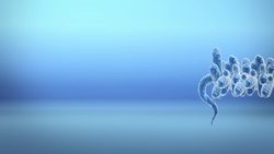 Molecule could determine dementia type Instructional Video