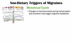 What Triggers Migraines? | Stress, Loud Noises, Bright Lights, etc. Instructional Video