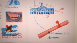 How to Live to Be 100 Instructional Video