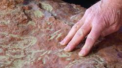 Dinosaur Age Meets the Space Age at NASA Goddard Instructional Video