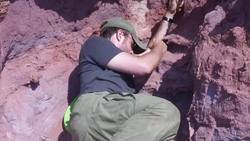 Researchers Discover New Species of Dinosaur in Tanzania Instructional Video