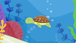 I WONDER - What Is A Hawksbill Turtle? Instructional Video