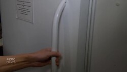 What to do when you return from the grocery store News Clip