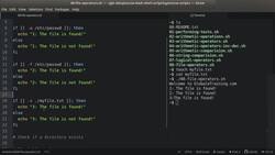 Bash Shell Scripting - File Test Operators Instructional Video