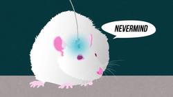 The Science of Sugar Addiction & The Fifth Taste Instructional Video