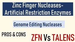 Zinc Finger Nucelases Instructional Video