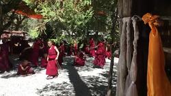 Tibetan monks are debating in Sera Monastery. Stock Footage