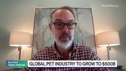 Bark Banks on Pampered Pooches News Clip