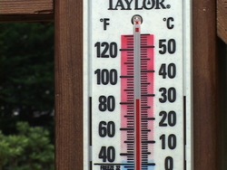 Observando el clima: observando la temperatura Instructional Video
