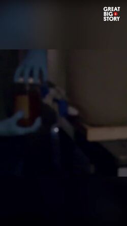 Behind the scenes at the Whale Warehouse, a marine mammal treasure  Instructional Video