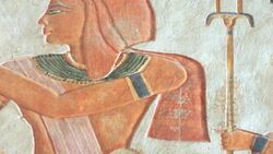 Faraón Instructional Video