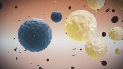 CAR-T therapy shows some hope fighting tumors News Clip