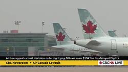 Airline appeals court decision ordering it pay Ottawa man $15K for his delayed flights News Clip