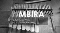 Acoustic Ancestry Instructional Video