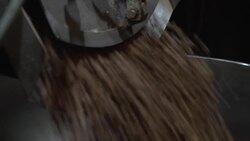 Discovering the Unique Charms of Seattle Instructional Video