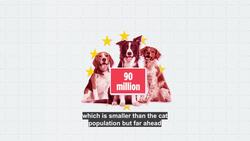 Pet dogs: Where in the EU is man's best friend most popular? News Clip