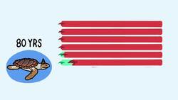 The Problem With Life Expectancy Instructional Video