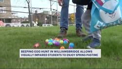 Beeping egg hunt in Williamsbridge allows visually impaired students to enjoy spring pastime News Clip
