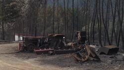 Portugal fire leaves swathes of burnt trees Instructional Video