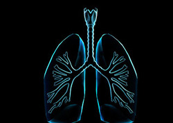 Bronchi Instructional Video