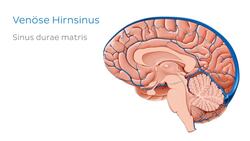 Sinus sagittalis inferior Instructional Video
