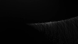 Hair, Soft Background Stock Footage