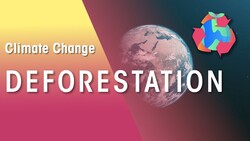 Global Impact of Deforestation | War on nature Instructional Video