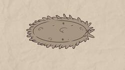 ¿Por qué el cuerpo humano tiene esa forma? Instructional Video