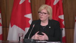 Employment minister addresses AG report on foreign workers News Clip