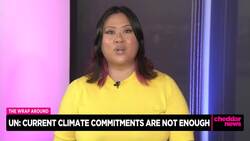 UN: Current Climate Commitments Not Enough News Clip