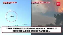 South Korea Horror: 'Bird Strike On 1 Engine Can't...': Why Jeju Air's Boeing 737-800 Crashed News Clip