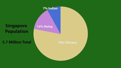 Singapore Demographics Instructional Video