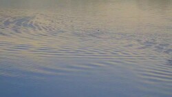Areal river top view ripples and wave, Refraction of sunlight top view texture Lake side white sand, sun shine water loop background. Stock Footage