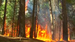 Dream Jobs Instructional Video