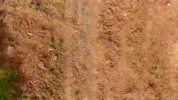 Logging clear cut AERIAL Stock Footage