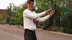 Desert Streetside Rainwater Abundance at 25 years! Instructional Video
