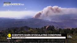 Over 52,000 Acres Of Grassland Burned Within 24 Hours In California News Clip