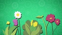 I Wonder - What Is Rewilding? Instructional Video