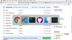 Complete Git Guide: Understand and Master Git and GitHub - Verifying a React GitHub Page Instructional Video
