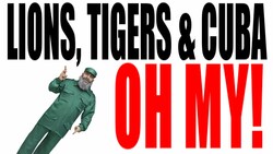 Cuba Explained: Ending the Embargo Instructional Video