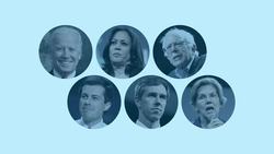 The Democratic Candidates Policy Positions Explained - TLDR News Instructional Video