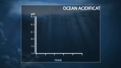 Ocean Acidification -- Changing Planet Instructional Video