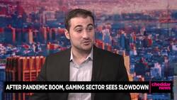 Gaming Sector Sees Decline After Pandemic Boom News Clip