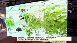 Democratic Control of Senate Was a Gamechanger for Pot Stocks: Sean Stiefel News Clip