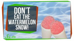 Don't Eat the Watermelon Snow! Instructional Video