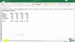The Complete Excel Guide: Beginners to Advanced - Additional Sheet Tab Options Instructional Video