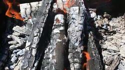 Beautiful red fire Stock Footage