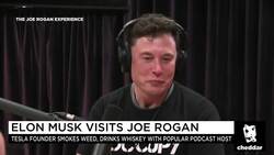 Musk Smokes Pot, Waxes Poetic as Chief Accountant Resigns News Clip