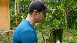 Which Poison Frog Can Kill You? Instructional Video